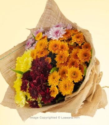 Fresh Chrysanthemum Bouquet - 20 Stems